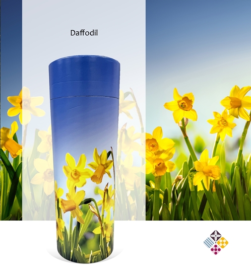 Picture of Daffodil Scatter Tube
