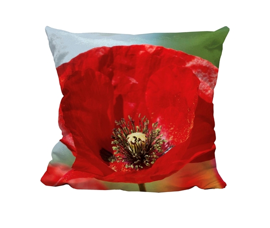 Picture of Poppy Theme - Cuddle Cushion