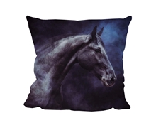 Picture of Double Black Horse - Cuddle Cushion