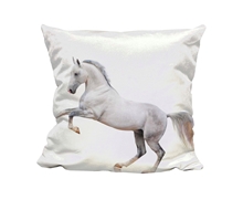 Picture of White Horse - Cuddle Cushion