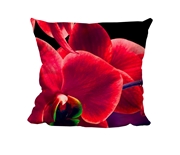Picture of RIP - Butterfly Red - Cuddle Cushion