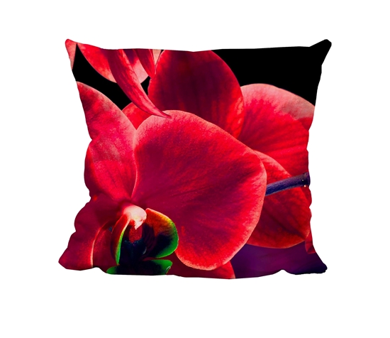 Picture of RIP - Butterfly Red - Cuddle Cushion