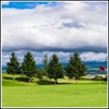 Picture of Golf Course 