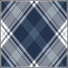 Picture of Navy Tartan