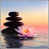 Picture of Lotus Flower & Stones 