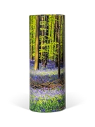 Picture of Scatter Tube - Bluebell Forest - Medium 120cu