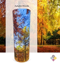 Picture of Autumn Woods - Tube - 240cu