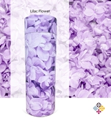 Picture of Lilac Flowers - Tube - 240cu