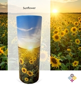 Picture of Sunflower Field - Tube - 240cu