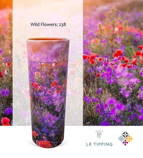 Picture of Wild Flowers - Tube - 240cu