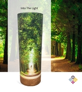 Picture of Towards The Light Scatter Tube 