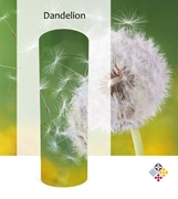 Picture of Dandelion Scatter Tube 
